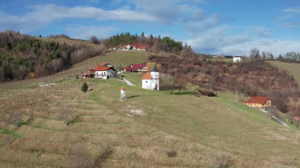 Vineyard in traditional european rural landscape, Pohorje wine growing region near Slovenska Bistrica, aerial pan — Stock Video