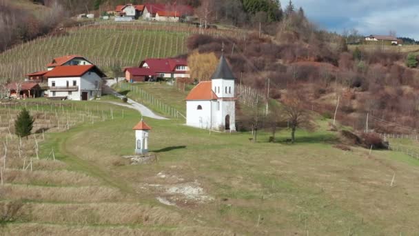 Geleneksel Avrupa kırsal kesimindeki üzüm bağları, Slovenya Bistrica yakınlarındaki Pohorje şarap yetiştirme bölgesi, havadan pan — Stok video