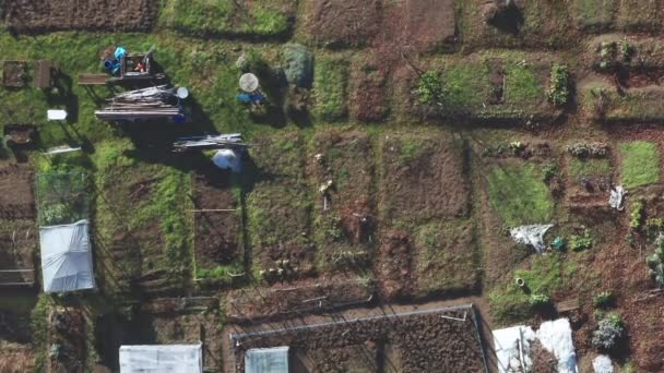 Allocation jardin urbain, vue aérienne de petits lots dans la zone de la ville 