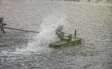 Su tarım su havalandırma türbini. Karides ve balık kuluçka.