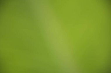 yeşil renk ile doğa arka plan.