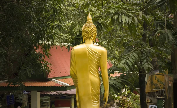 Gouden Boeddha staan standbeeld met de natuur. — Stockfoto