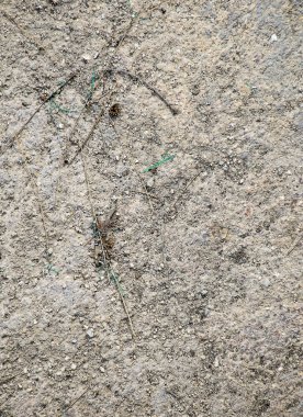 Kahverengi kir/toprak doku arka plan.