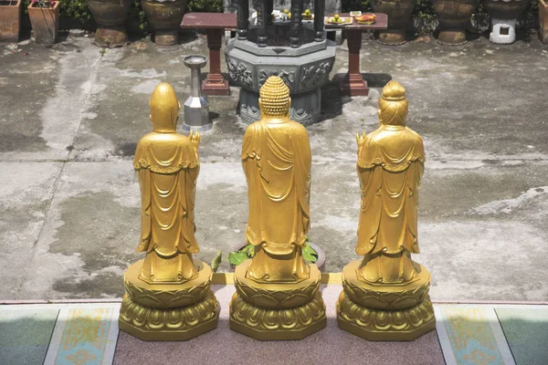 Guld buddha stå staty med naturen. — Stockfoto