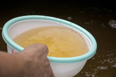 Plastik kase larva karides. Su ürünleri yetiştiriciliği hayvanlar.