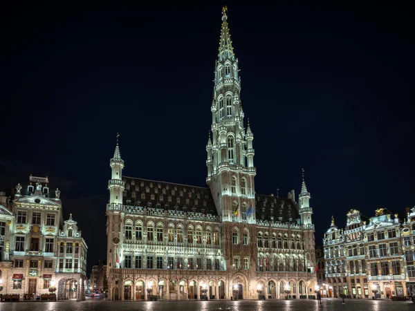 Gece Grand Place, Brussels, Belçika