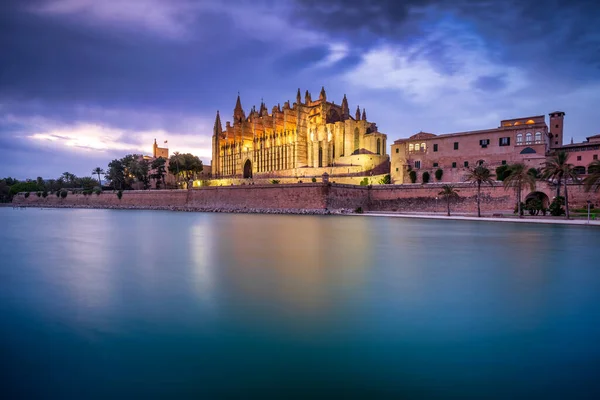 Katedrála Palma Mallorca Noci Mallorca Baleárské Ostrovy Španělsko — Stock fotografie