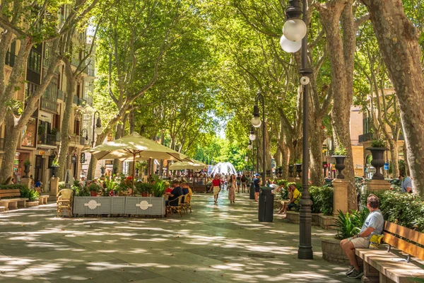 Ağaçtaki açık kafeler Passeig del Born, Mallorca, İspanya