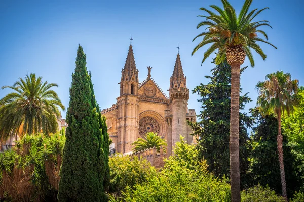 Katedrála Palma Mallorca Mallorca Baleárské Ostrovy Španělsko — Stock fotografie