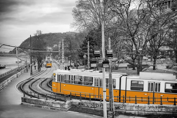 Budapeşte, Macaristan sokaklarında sarı tramvay