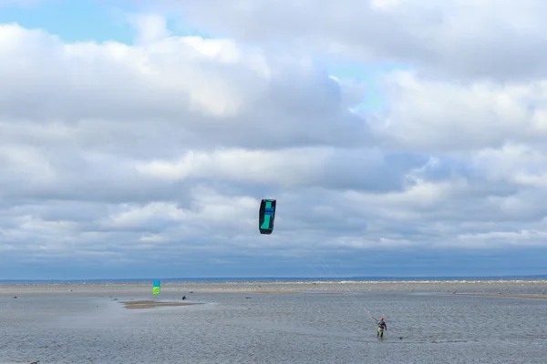 Rusya, Saint - Petersburg, Kronstadt 2016. 09.07. kitesurfing, Baltık Denizi, Finlandiya Körfezi ile Güz.