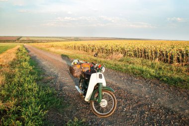 Eski tarz motosiklet Honda süper yavrusu. Toprak bir yolda, ayçiçeği tarlasında, Rusya, Voronezh, 08.26.19