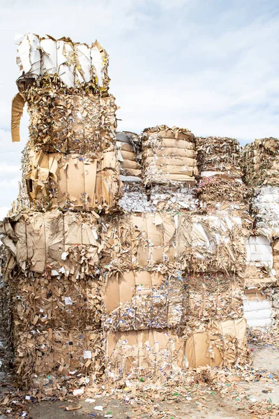 Pile of pressed waste paper bales in the yard.  Waste paper recy