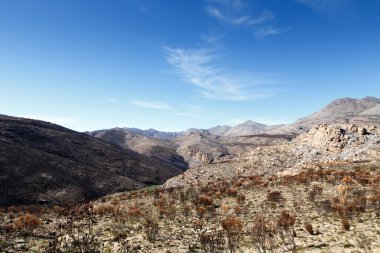Güzel yanık toprak.