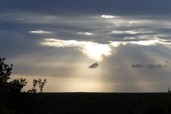 Zonsondergang over het Addo Elephant Nationaal Park — Stockfoto