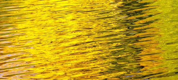 Reflejo del Otoño en el agua el estanque forestal — Foto de Stock