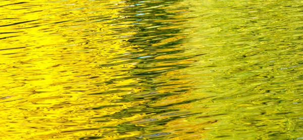 Odraz na podzim ve vodě lesní rybník — Stock fotografie
