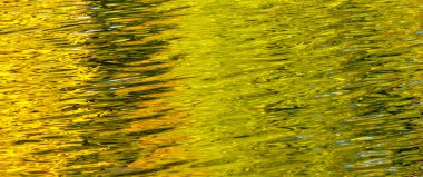 Sonbahar yansıma su orman gölet