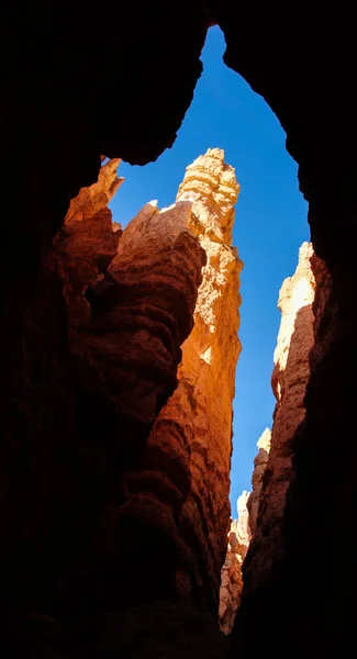 Widok z dołu kanionu. Parku Narodowego Bryce Canyon, Utah — Zdjęcie stockowe