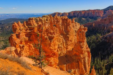 Pitoresk kaya oluşumu. Bryce Canyon Milli Parkı. Utah, BM