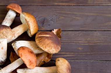 Cep mantar. Boletus meşe yaprakları ve meşe palamutları ahşap Surf üzerinde