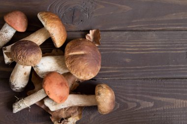 Cep mantar. Boletus meşe yaprakları ve meşe palamutları ahşap Surf üzerinde
