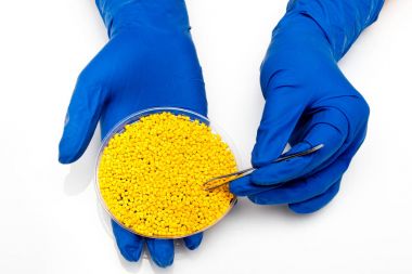 Plastik granül. Renklendirici polimer granül içinde için. Ellerinde eldiven ve cımbız ile plastik granül