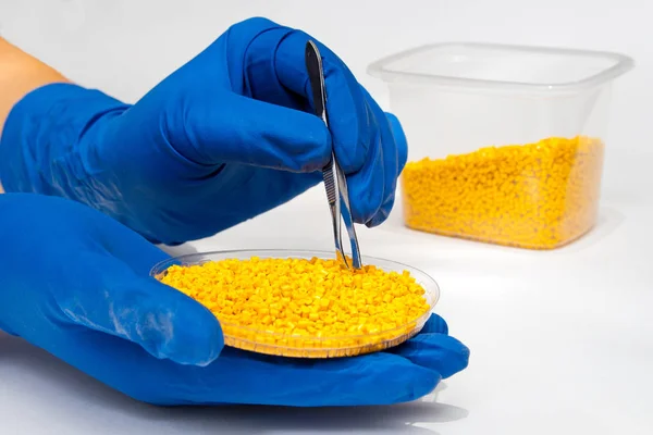 Plastic pellets. Kleurstof voor polymeren in korrels. Kunststof korrels in handen met handschoenen en pincet — Stockfoto