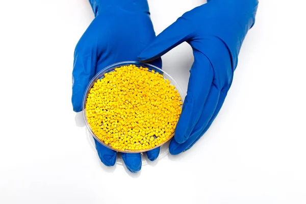 Plastikkugeln. Farbstoff für Polymere in Granulaten. Hände in Handschuhen nimmt Kunststoffpellets — Stockfoto