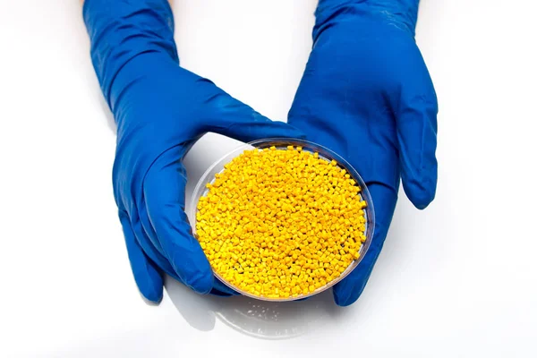 Pellets de plástico. Colorante para polímeros en granulos.Pellets de plástico en las manos con guantes — Foto de Stock