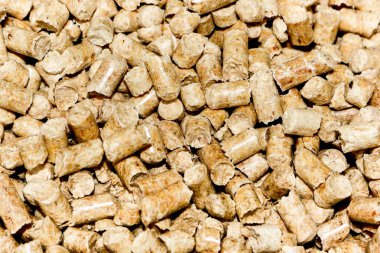 Mutlu İşçi Bayramı'nda araçlar inşaat yönetim kurulu. 