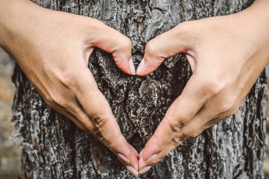 Ağaçta manikürlü kadın elleri. Eller kalp kırıyor.