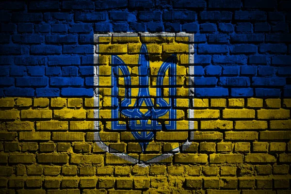 Прапор карту України на цегляна стіна — стокове фото