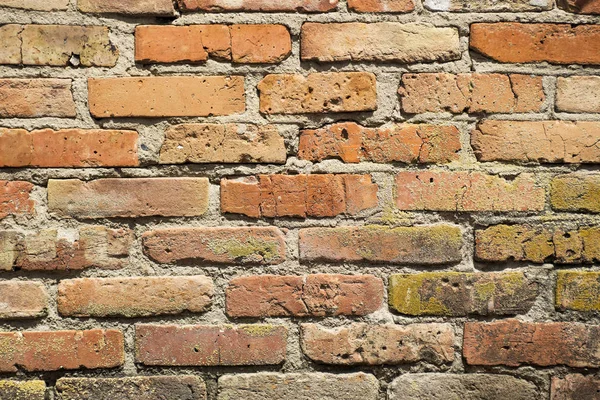 Wall from a brick. background Royalty Free Stock Photos