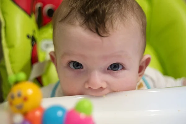 small child bites the chair on which sits