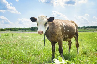 Yatakta duran şirin bir bebek. Yatakta oynayan gülümseyen çocuk. Kreşteki çocuk portresi. Mutlu çocukluk kavramı