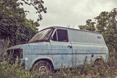 Ormandaki eski bir kamyon. Paslı bir pikap. Rusty terk edilmiş eski araba.