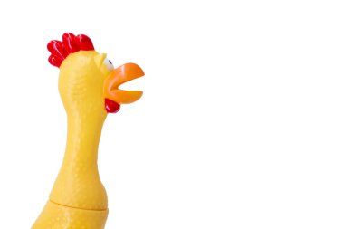Squeaky chicken toy isolated on a white background. Rubber toy chicken on a white background clipart