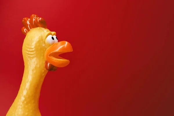 Squeaky kyckling leksak på röd bakgrund. Gummi leksak kyckling på röd bakgrund — Stockfoto