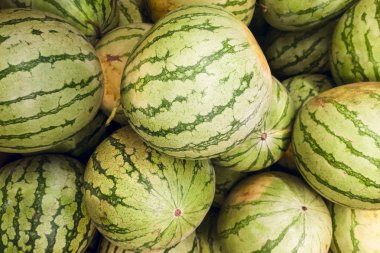 Bir sokak fuarında bir sürü büyük yeşil ve sarı karpuz. Yeşil karpuzların arka planı