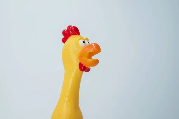 Jouet de poulet grinçant isolé sur un fond blanc. Poulet jouet en caoutchouc sur fond blanc — Photo