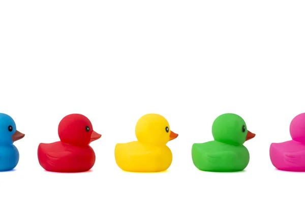 A row of rubber ducks on a white background. Bright colored rubber ducks in a line. Rubber ducks in a row isolated on a white background — 스톡 사진