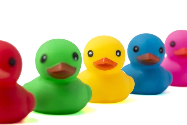A row of rubber ducks on a white background. Bright colored rubber ducks in a line. Rubber ducks in a row isolated on a white background — 스톡 사진