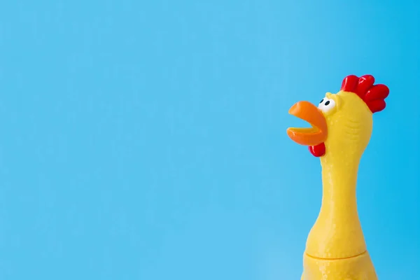 Quietschiges Hühnerspielzeug auf blauem Hintergrund. Gummispielzeug Huhn auf blauem Hintergrund — Stockfoto