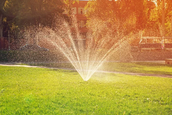 Lawn sprinkler spraying water over lawn green fresh grass on a hot summer day. The concept of automatic watering equipment, lawn care, gardening and tools