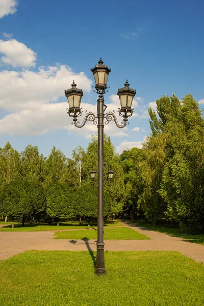 Street electric lamp post. Street lamp in the park. Decorative street lamp