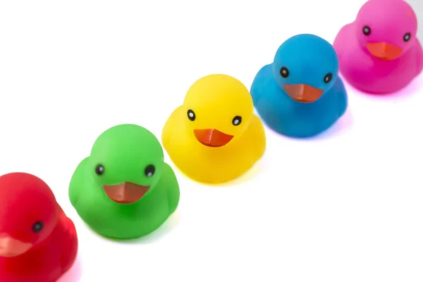 Uma fila de patos de borracha sobre um fundo branco. Patos de borracha coloridos brilhantes em uma linha. Patos de borracha em uma fileira isolados em um fundo branco — Fotografia de Stock