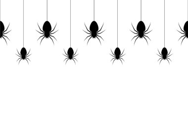 Spiders hanging on cobweb. Spiders hanging on spider's web. Vector Illustration