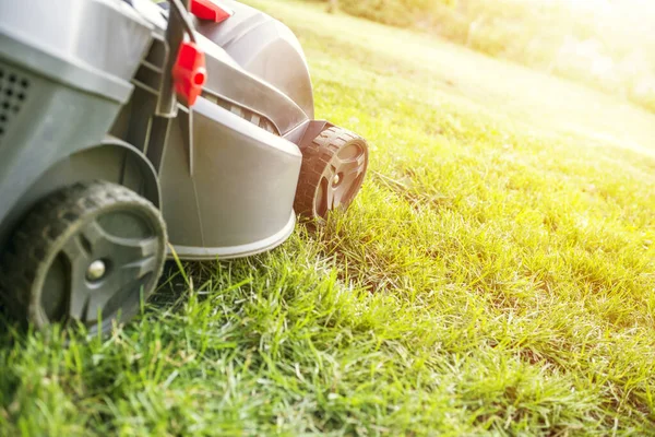 Lawn mower cutting grass. Gardening concept background. Close up of lawn mowers.