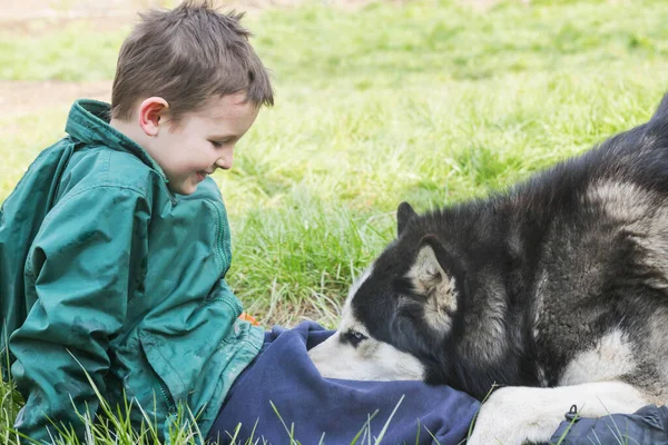 Мальчик Играет Своей Собакой Счастливый Ребенок Играет Сибирской Собакой Хаски — стоковое фото